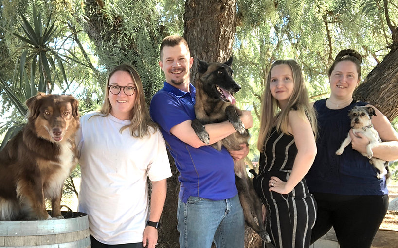Richmond Dog Training Classes Intelligen