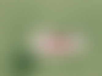 Iteration in data visualization is  a critical part of the data storytelling process.