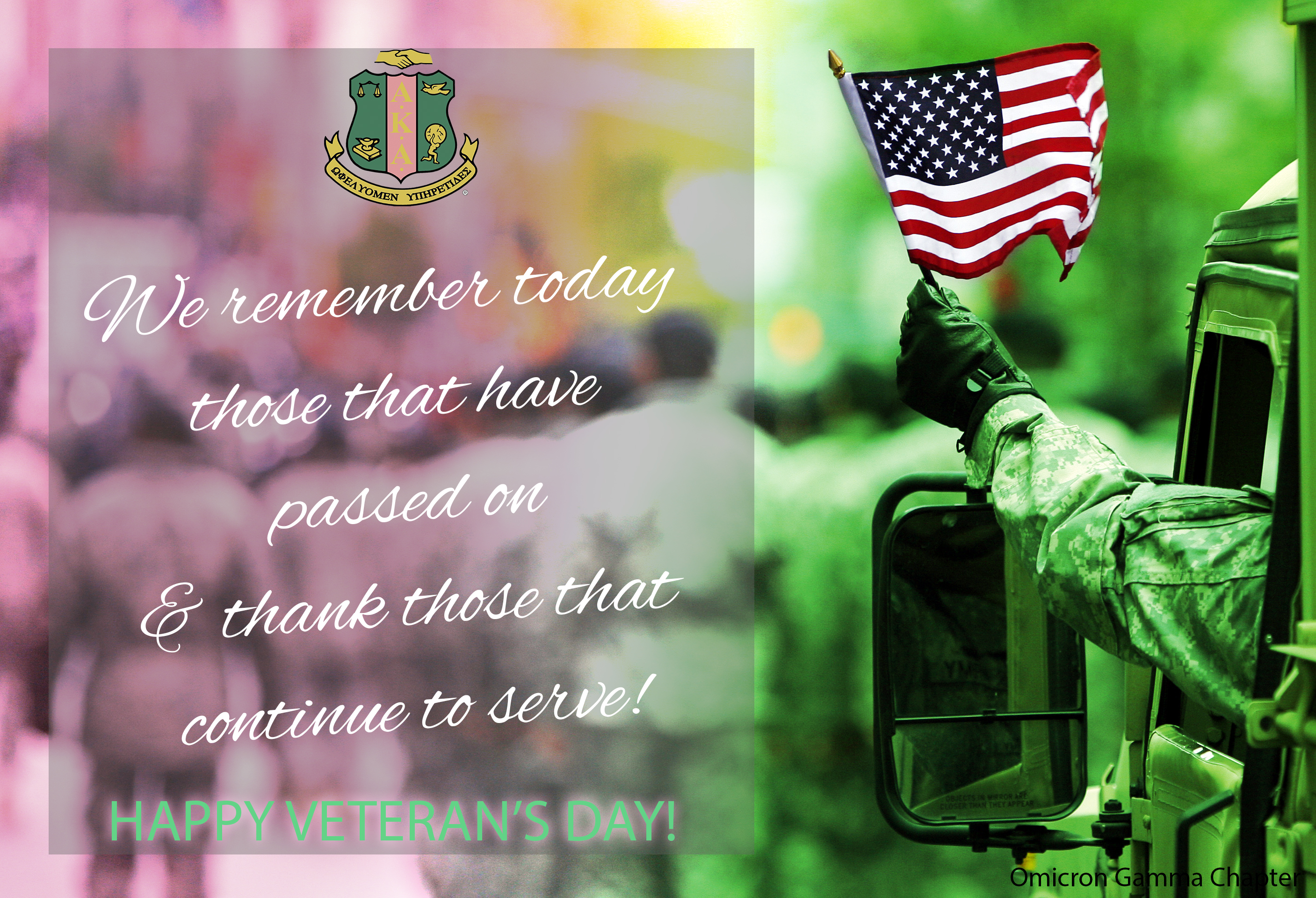 armed-serviceman-at-veterans-day-parade