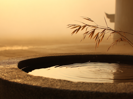 A stone water basin at dawn with gentle ripples and a bamboo branch bending over it, captured in warm golden light reminiscent of early morning in Gyeongju.