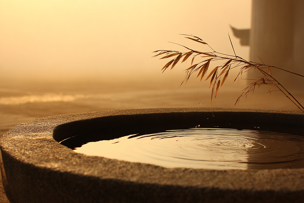 A stone water basin at dawn with gentle ripples and a bamboo branch bending over it, captured in warm golden light reminiscent of early morning in Gyeongju.