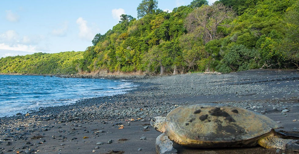 Mayotte.jpg