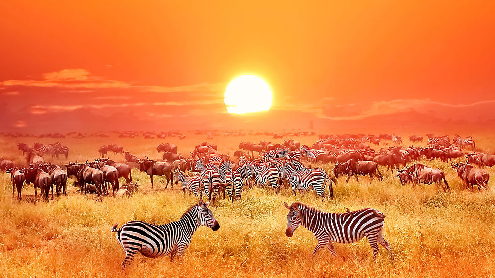 Tanzania.jpg