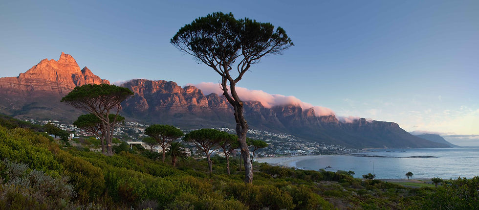 south-africa-cape-town-table-mountain-national-park.jpg