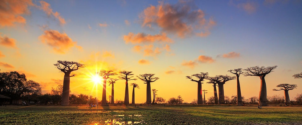 Madagascar.jpg