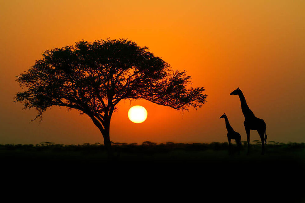 Kenya.jpg