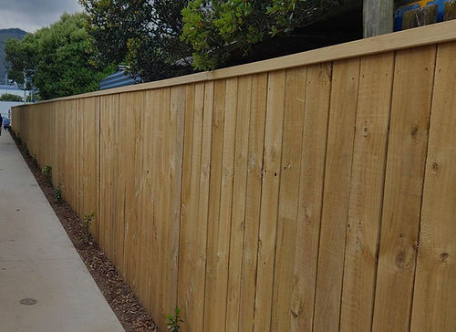 368113083_712072987501315_1813725592750692089_n (1)_edited_edited_edited.jpg