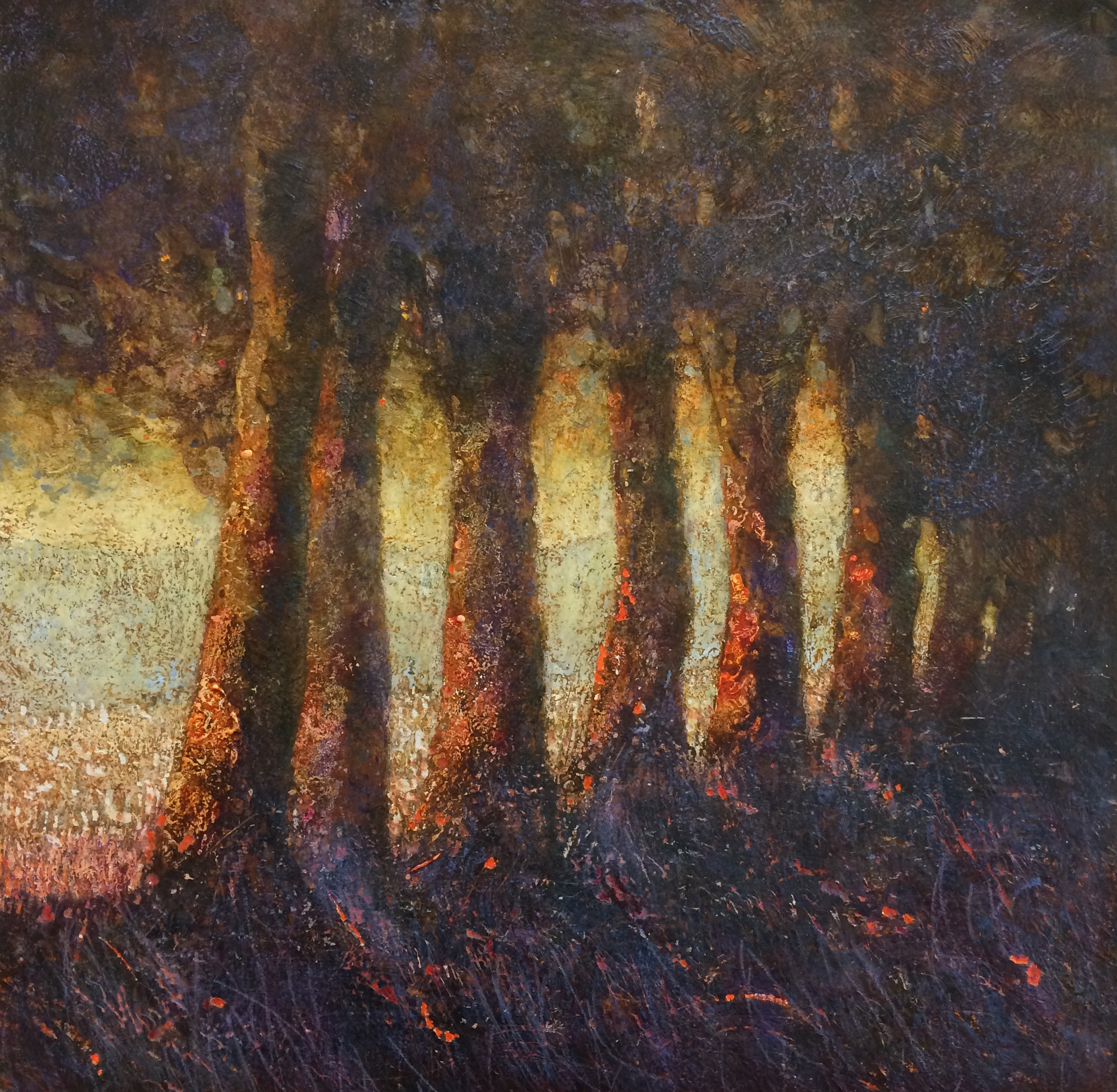 The line of trees