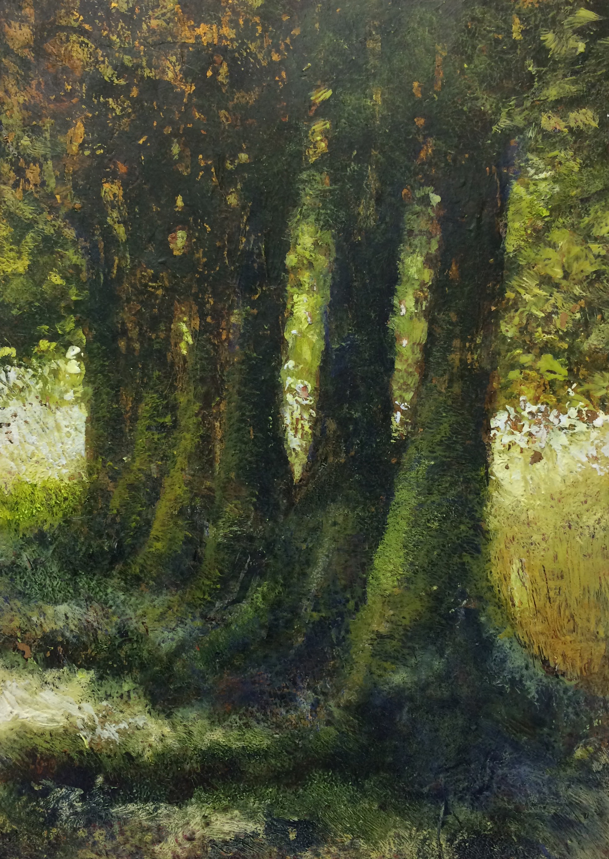 In the shade