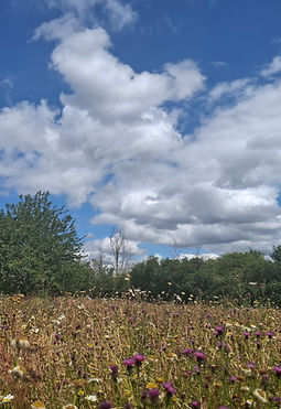 20260701_123609_edited.jpg
