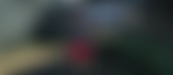 Discover Shigetsugu Hatsukura: Edo Fugitives in Rise of the Ronin!