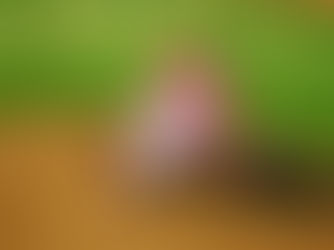 Mastering "Try To Reason With Careena" in Visions of Mana: A Guide