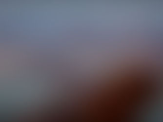 Mastering "The Flood" Mission in Empire of the Ants: A Complete Guide