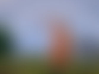 Unlock Firework Isles in Infinity Nikki: A Step-by-Step Guide š