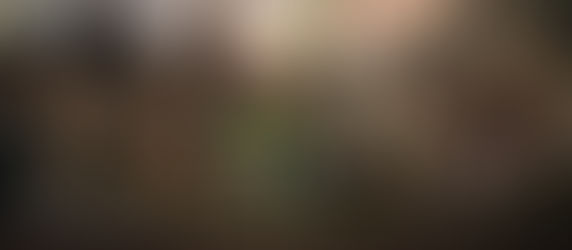 Discover the Cypress Pet: A Must-Have for Your WoW Classic Collection!