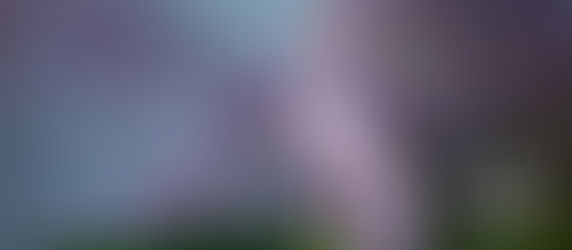 Essential Guide to Lucky Pink Ribbon Eel Quest in Infinity Nikki