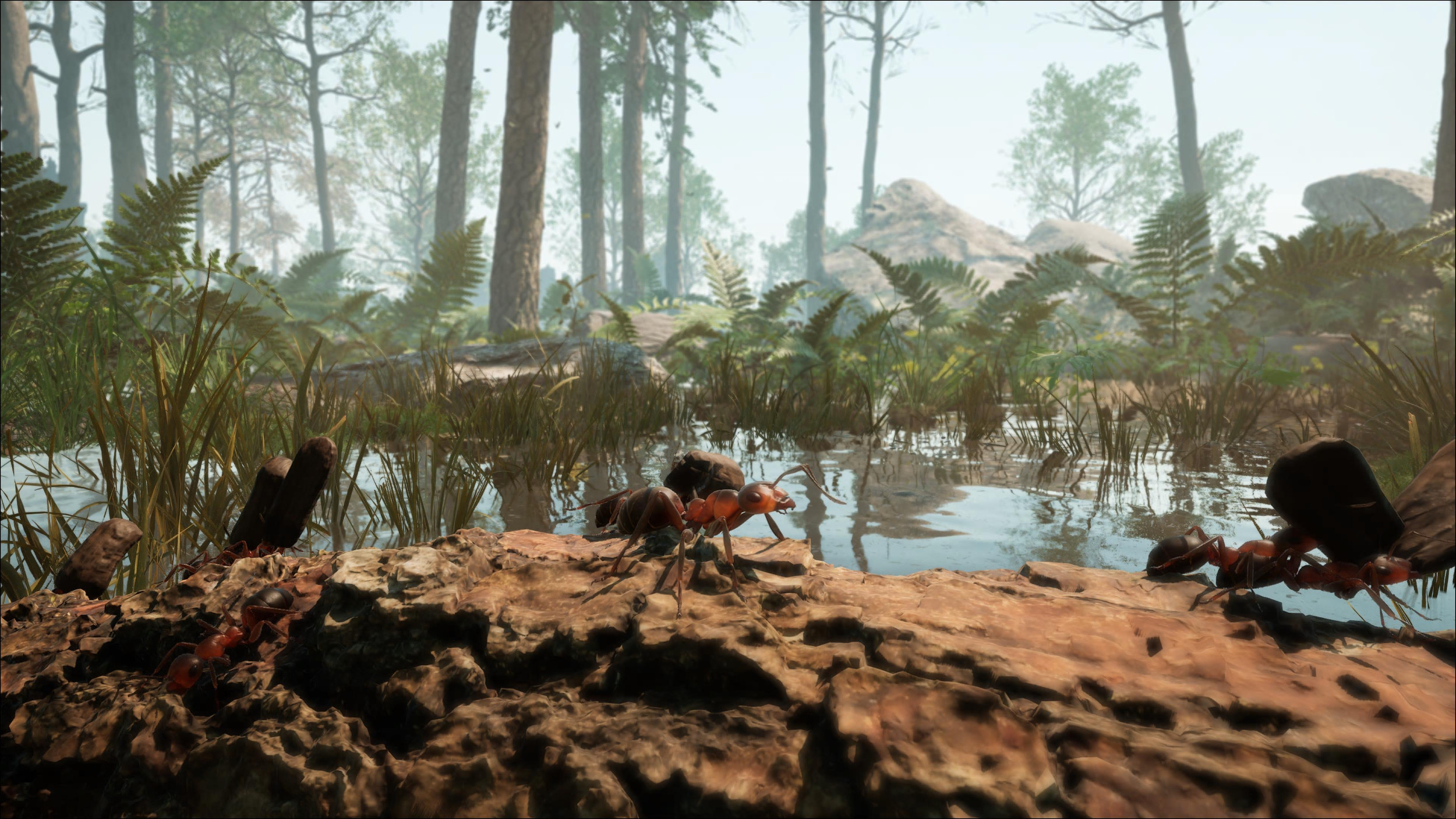 Discover the Secrets to Mastering 