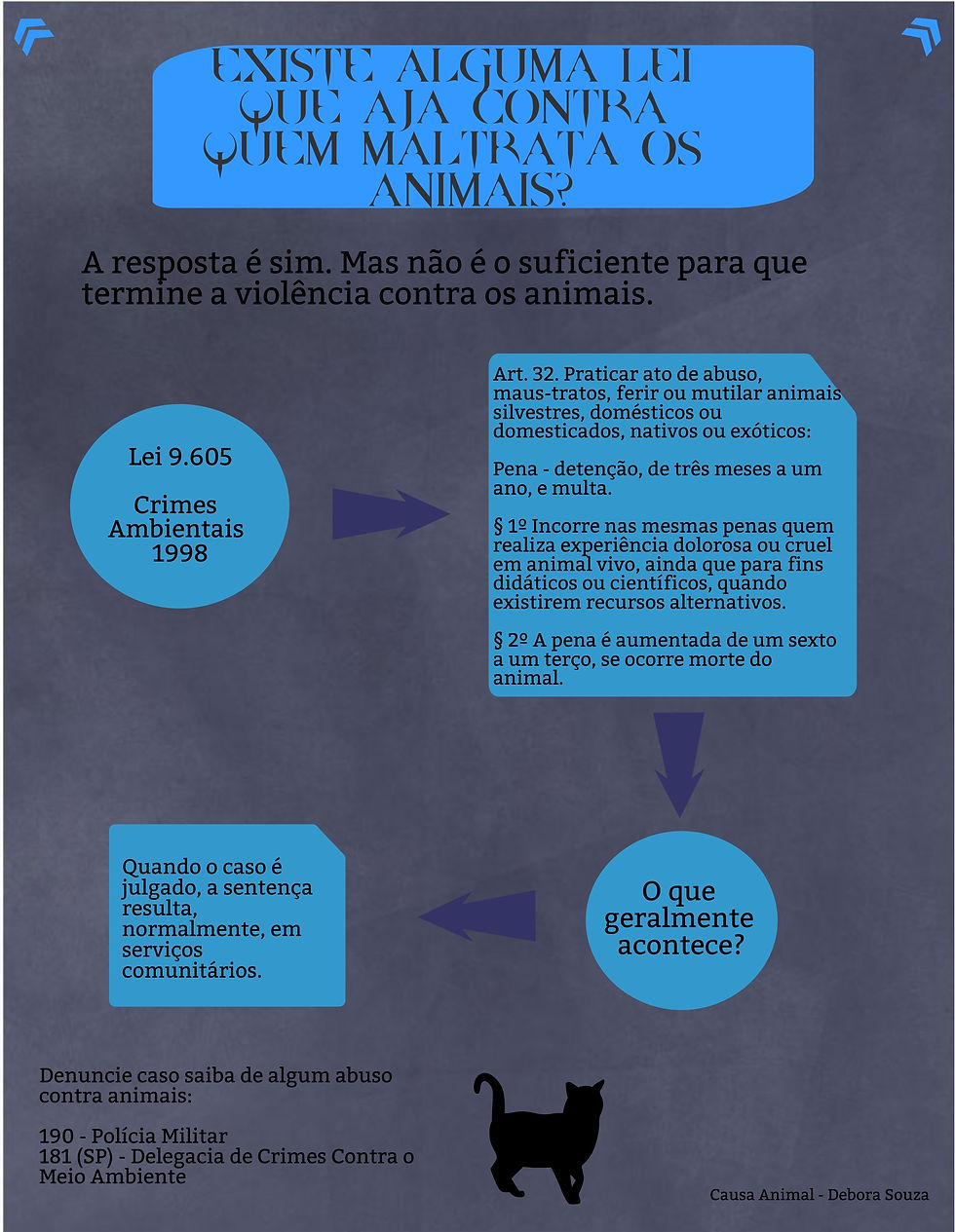Lei de proteção