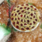 Deconstructed Meat Pie 8"