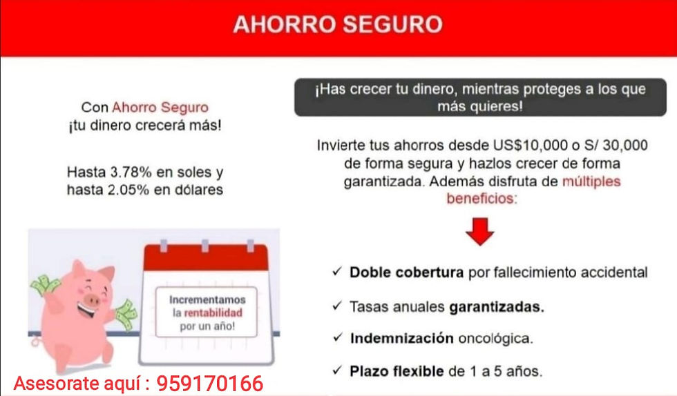 Miniatura: Seguros de Protección de Roxana