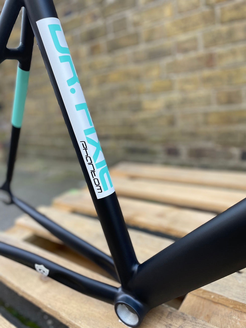 Thumbnail: DR. FIXIE PHANTOM FRAMESET