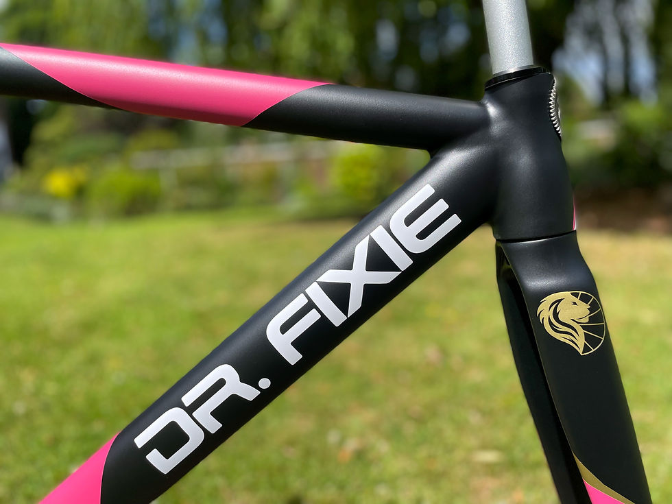 Thumbnail: DR. FIXIE UNITED FRAMESET (Discontinued)