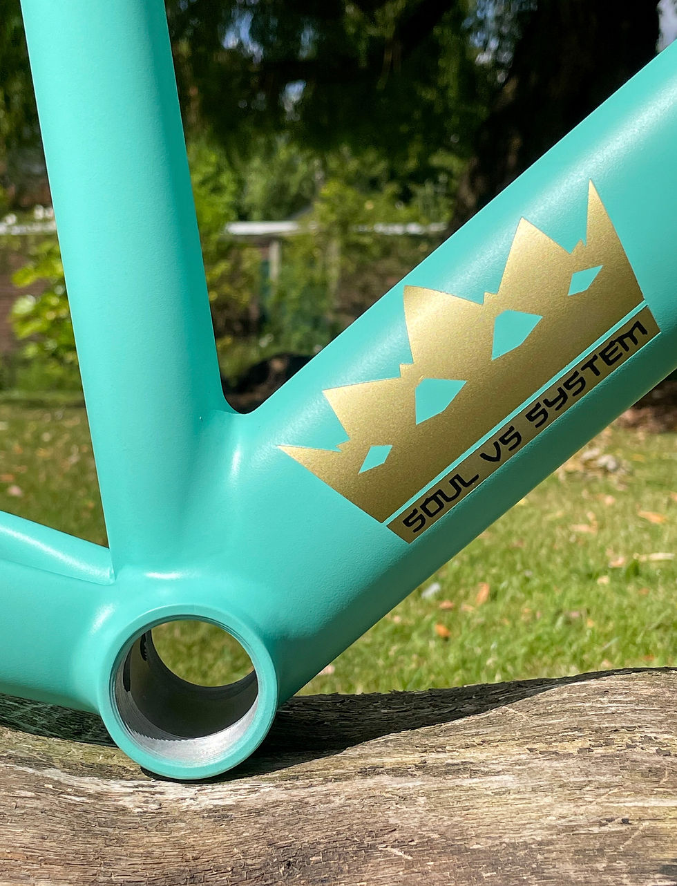 Thumbnail: DR.FIXIE UNITED FRAMESET (Discontinued)