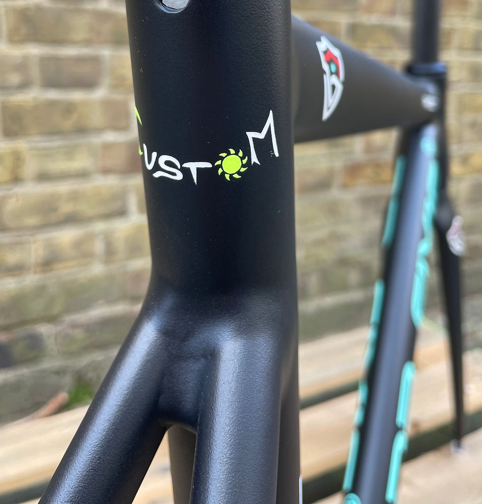 Thumbnail: DR. FIXIE PHANTOM FRAMESET