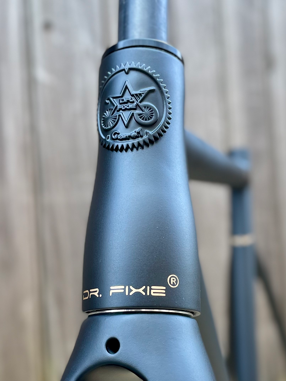 Thumbnail: DR. FIXIE ONE UPGRADED – BLACK & BRONCE