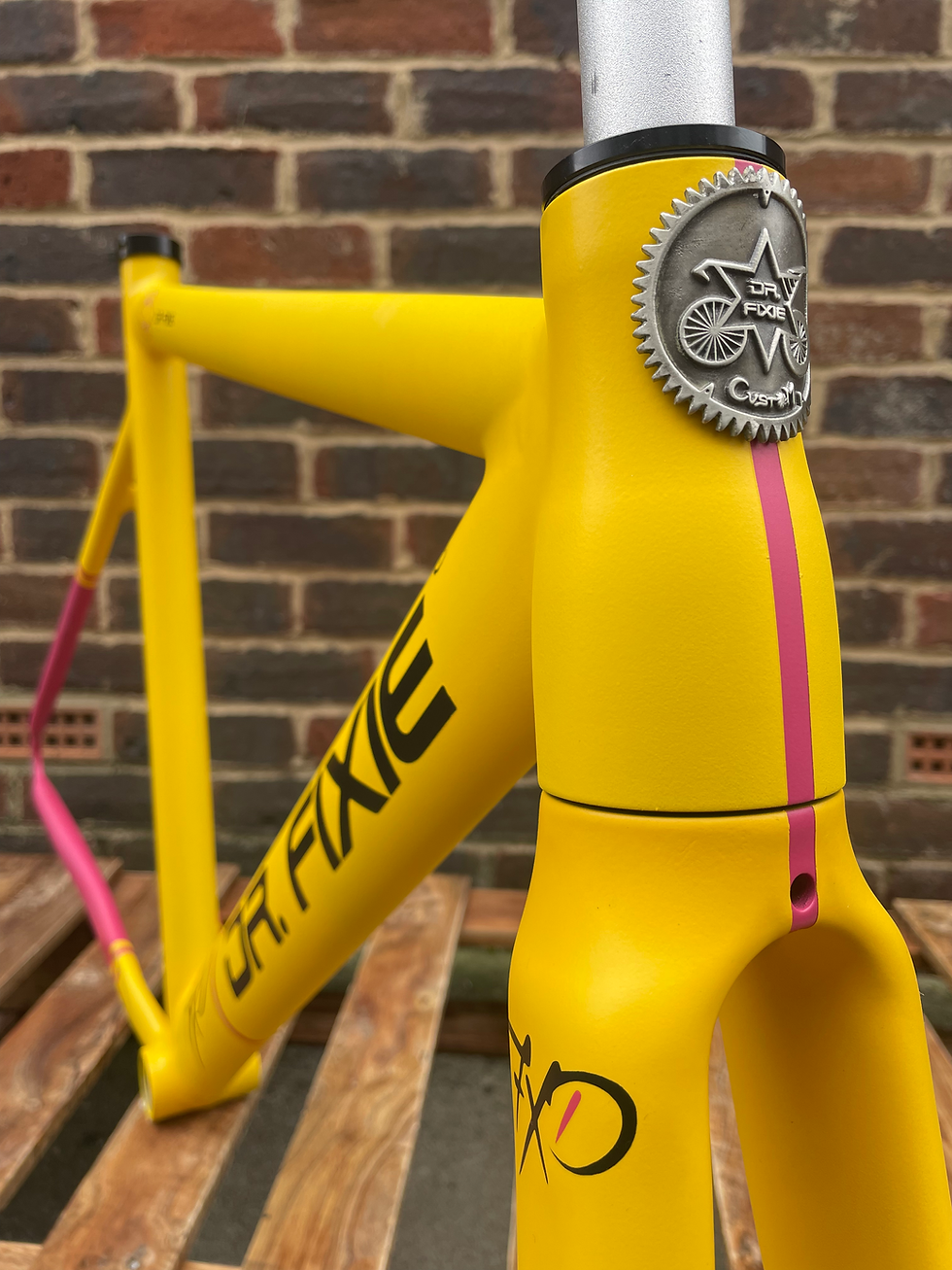 Thumbnail: DR. FIXIE INSIGHT FRAMESET
