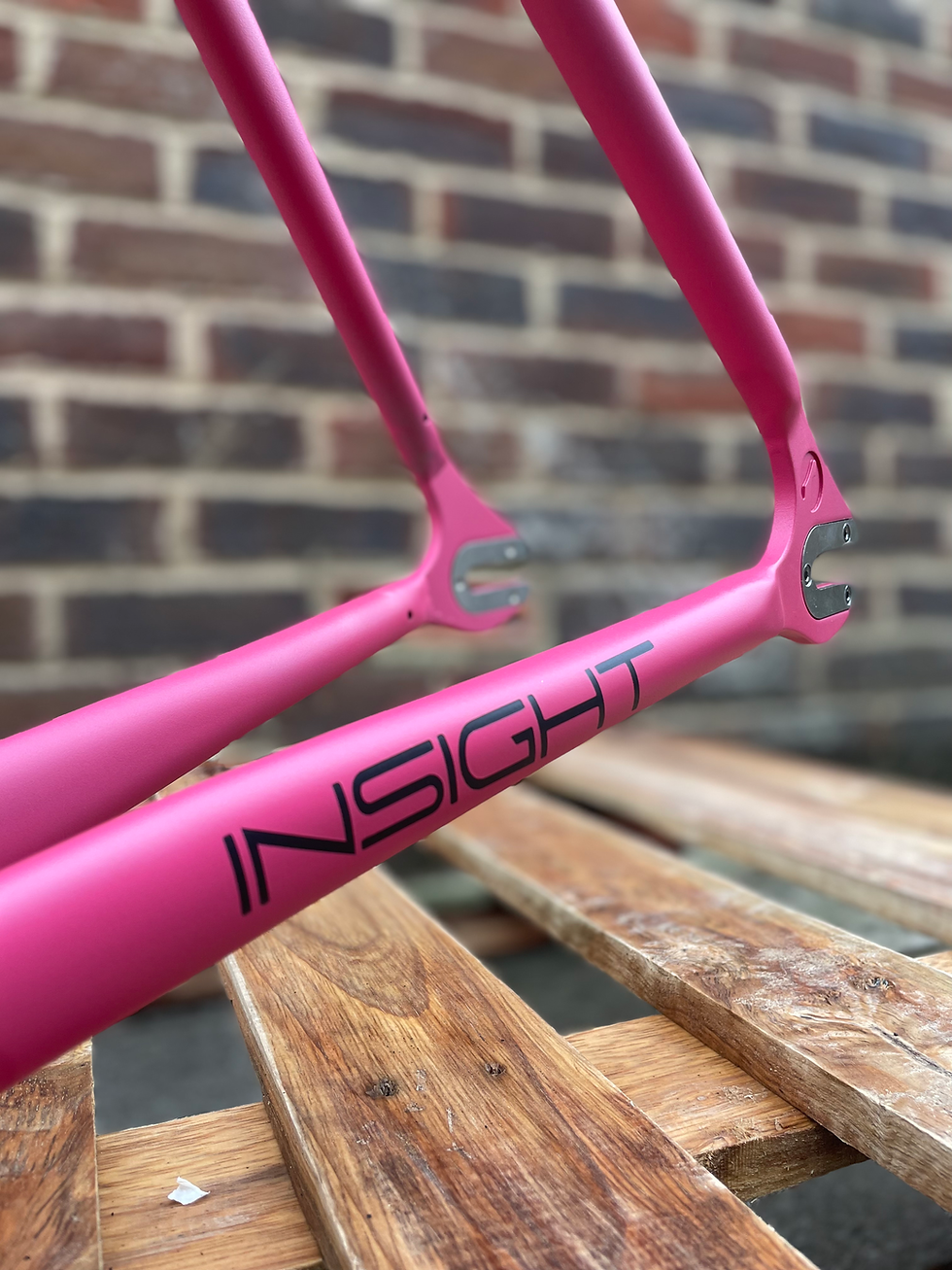 Thumbnail: DR. FIXIE INSIGHT FRAMESET