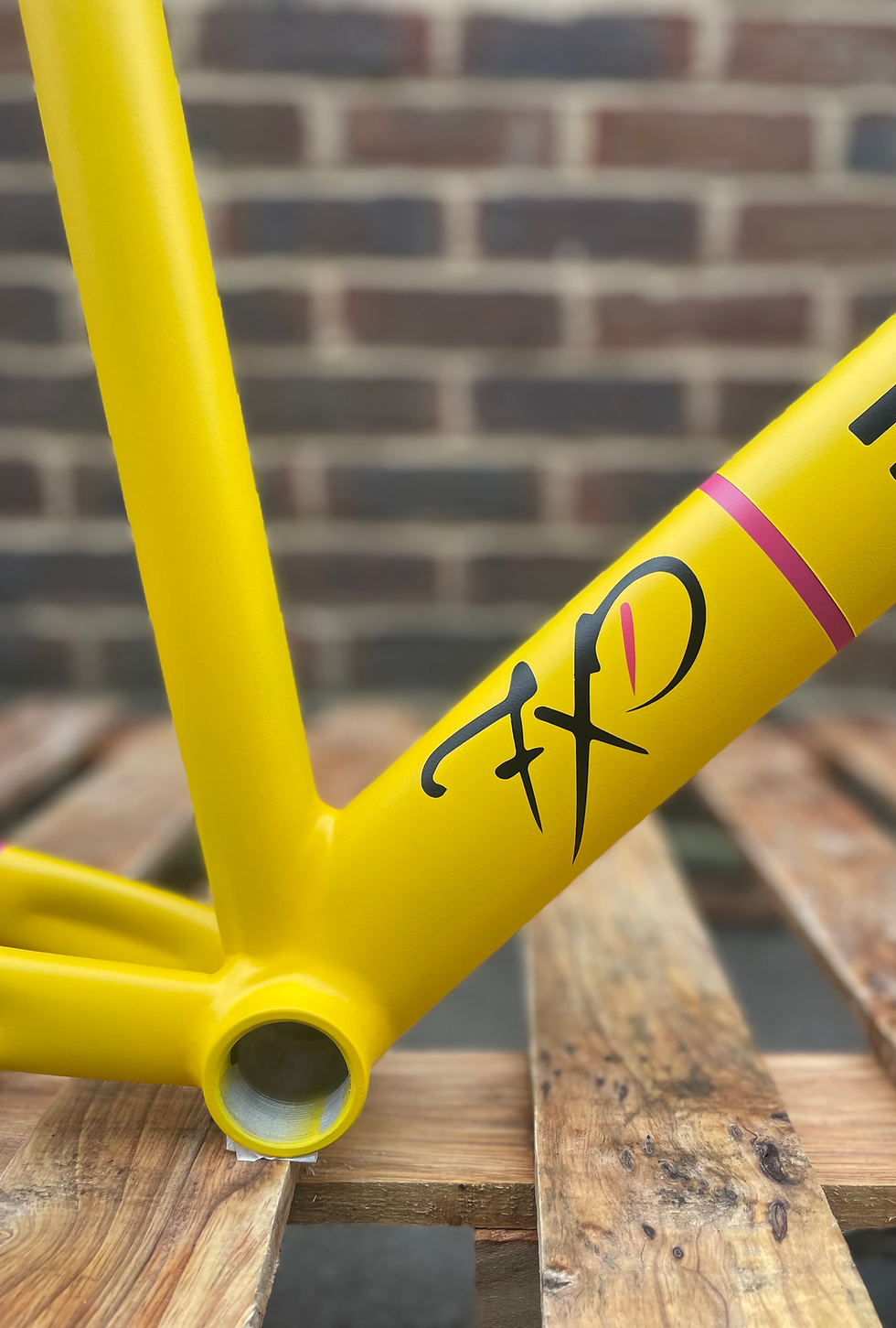 Thumbnail: DR. FIXIE INSIGHT FRAMESET