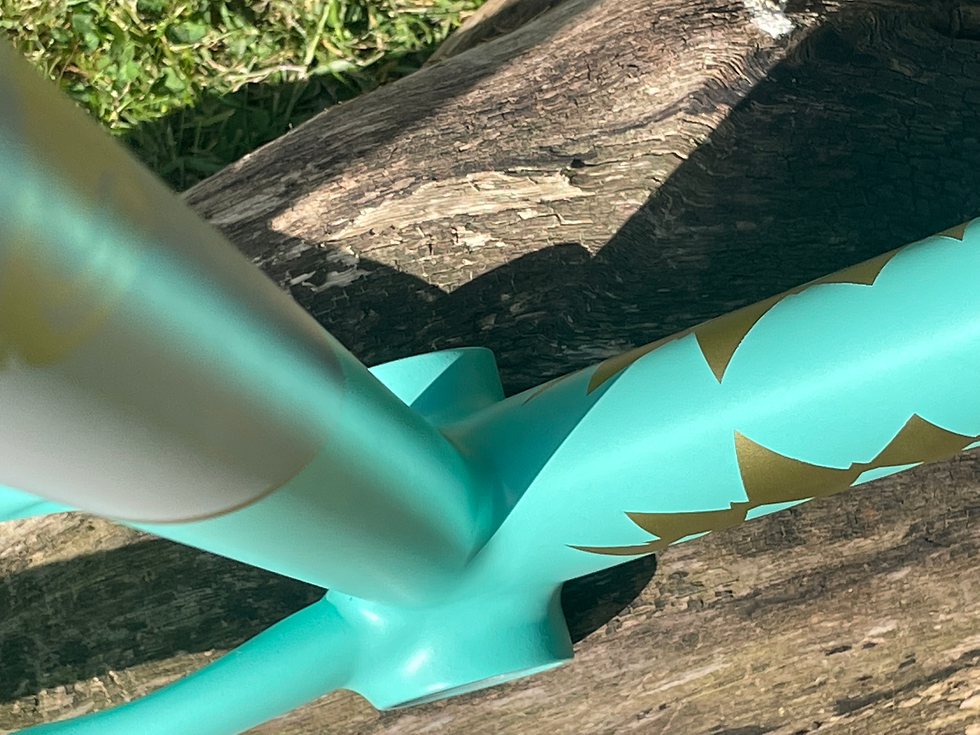 Thumbnail: DR.FIXIE UNITED FRAMESET (Discontinued)