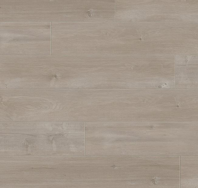 Journey - Silver Springs