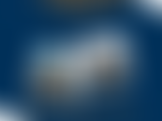 3 relative clauses - who, that and which