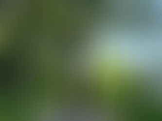 Sunday Post #19 - Attendre