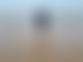 Sunday Post #16 - Accorder