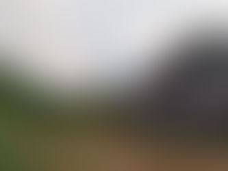 Sunday Post #21 - Partager