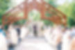 unqiue outdoor wedding location in West Virginia with wooden arch and wooded backdrop