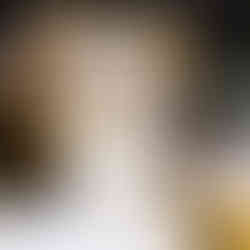 beautiful wedding cocktail featuring unique drink stirrers with cats faces at luxurious west virginia wedding venue