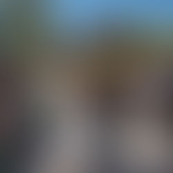 Bride and groom joyfully walk down the aisle at outdoor West Virginia wedding venue under a wooden arch. Bride holds white flowers, guests watch, and bird seed floats around them. 