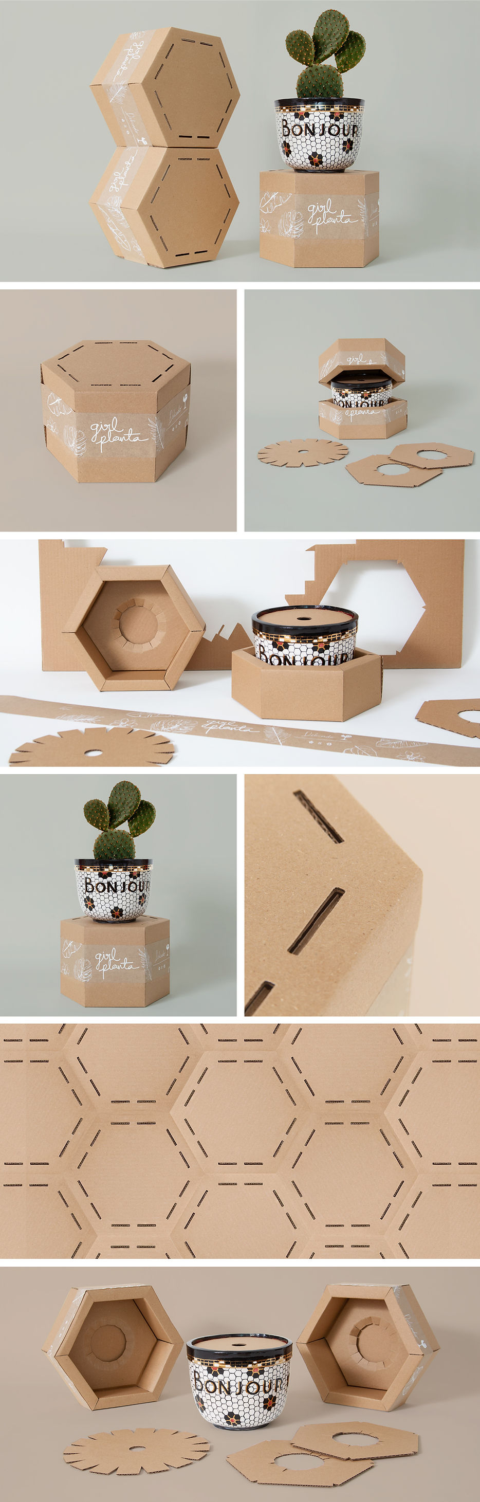 Empaque en cartón ecologico para materas de ceramica, diseño exagonal