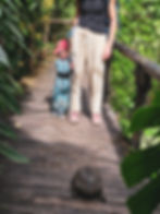 Keine Angst vor grossen Tieren, aber vor Schildkröten?