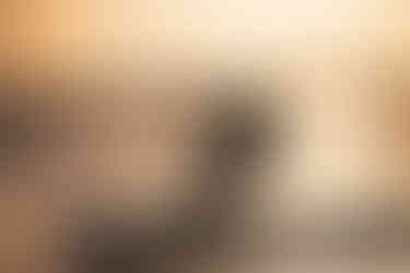 Aruba Kitesurfen Windsurfen Karibik