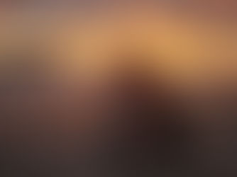 Die Tierwelt in Costa Rica ist einzigartig. Nicht nur die vielen unterschiedlichen Arten, die es gibt, sondern auch die Vielzahl. Man sieht wirklich, dass sie hier gut geschützt sind und unbesorgt leben können.