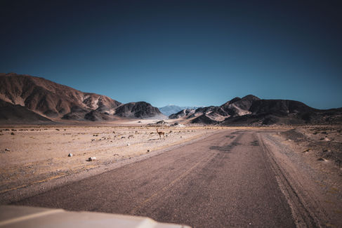 Puna Argentinien Offroad Hochebene