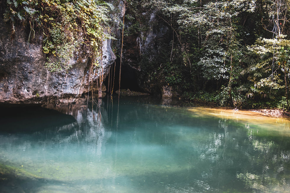 At Barton Creek – Entrance to the Cave System in the Jungle