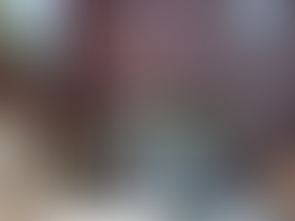 Building a Pet-Friendly Home: Brick & Bolt’s Approach to Safe and Functional Design