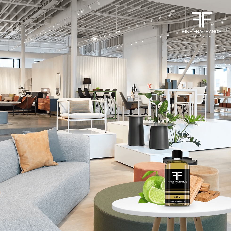 Miniatura: Furniture Store Escencia Ambiental