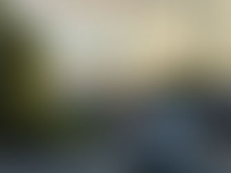 8) Monkeys and Cat Piss and Jesus… Oh my!